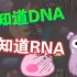 DNA？RNA？这个视频给你讲清楚！