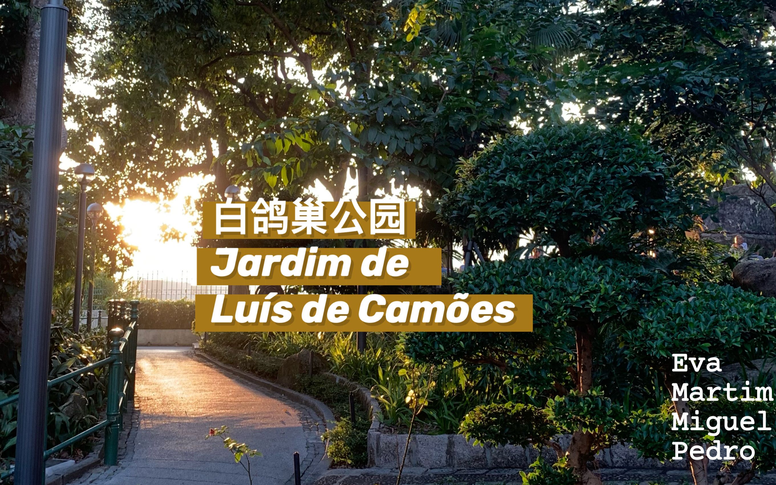 3分钟带你看初冬26℃澳门白鸽巢公园|Jardim de Lu㭳 de Cam㵥s|疫情下的澳门公园|天气好好快粗奶玩|中葡双语字幕哔哩哔哩bilibili