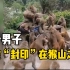 贵州黔灵山公园男子被约20只猴子爬身上抢食 景区：有广播提醒游客勿投食