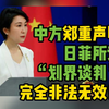 日菲所谓“划界谈判”，中方回应：完全非法无效