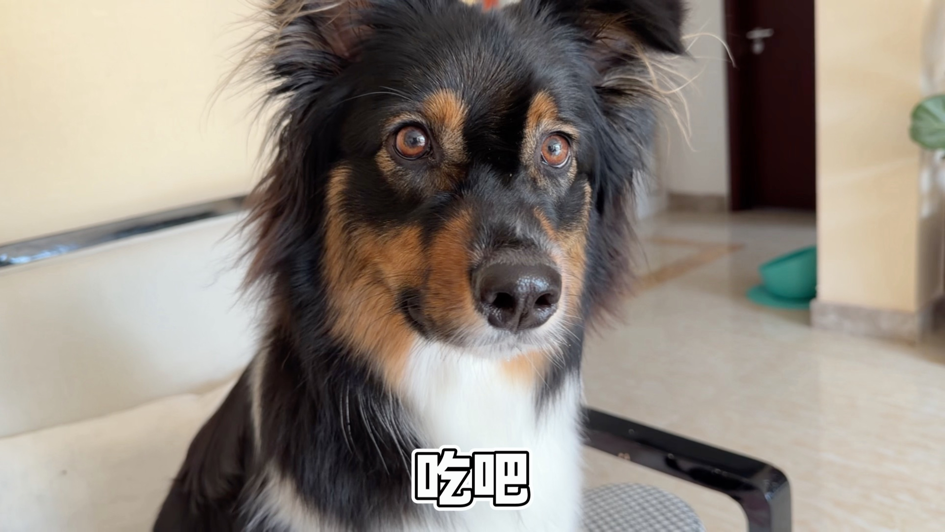 新系统运行稍显卡顿