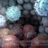 揭秘肿瘤免疫-nature video