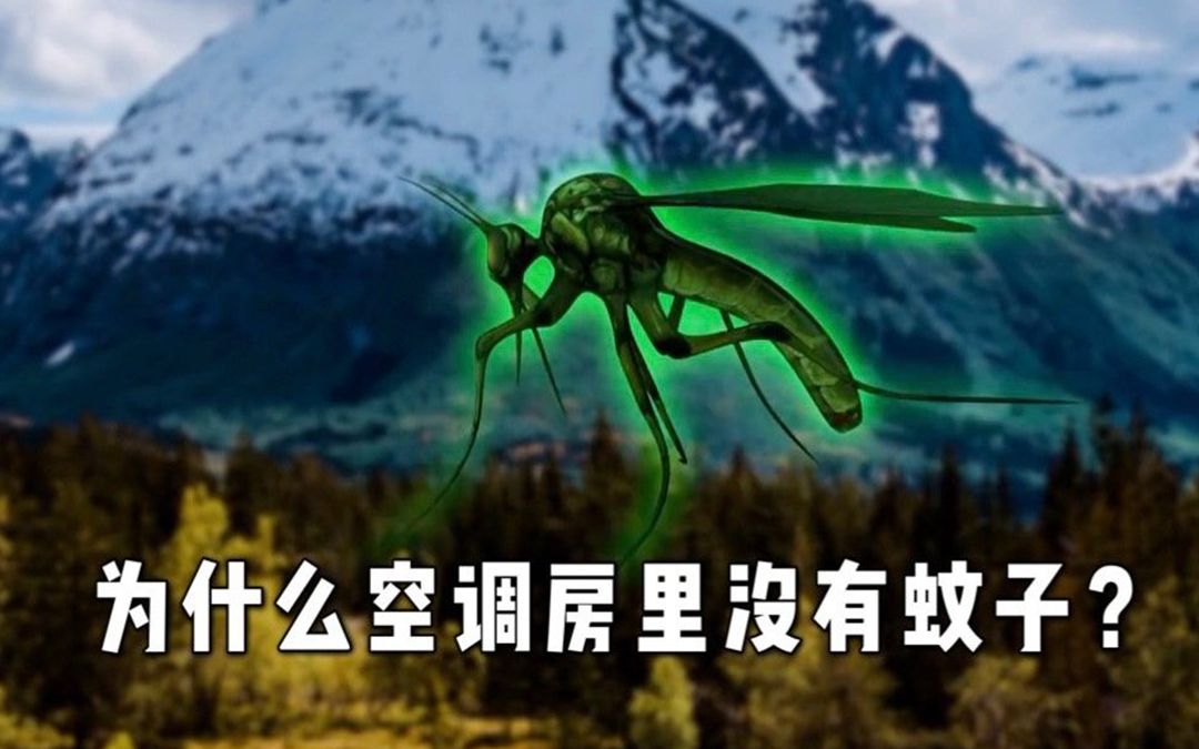 【奇怪喵】为什么空调房里没蚊子？开了空调就没有蚊子了吗?
