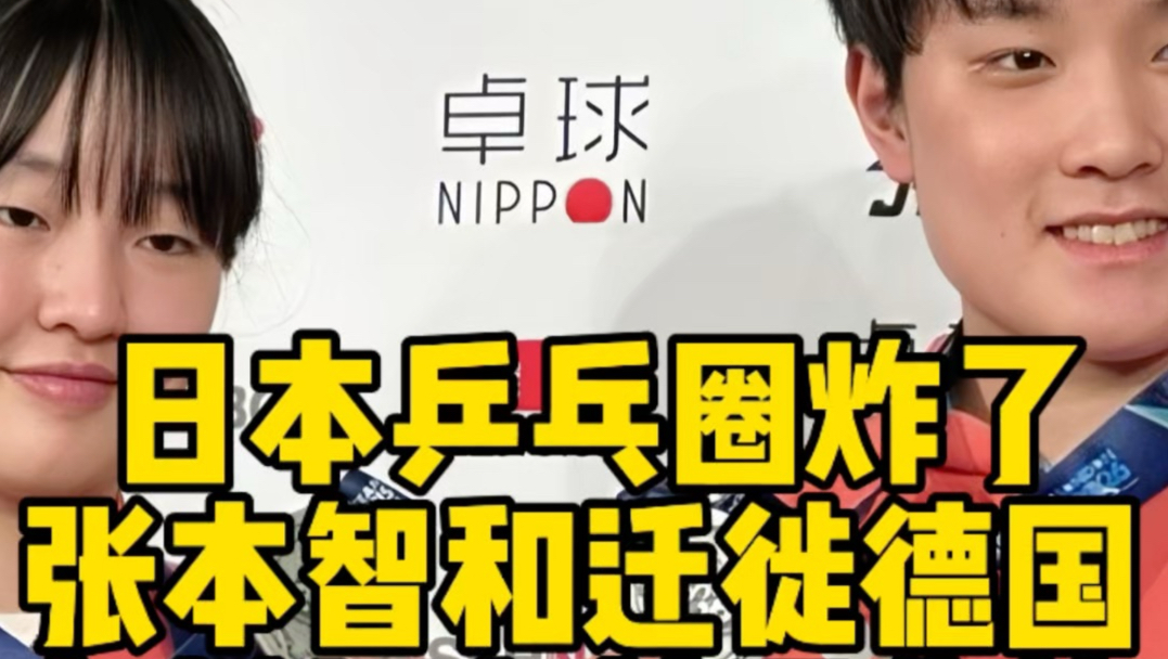 张本智和全家移居德国，与樊振东并肩作战！