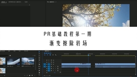 最近很火的视频转场教程 b2ebf23d29c0c443235410f8d97c7944d5b7b36b.jpg@280w_158h_1c_100q.jpg