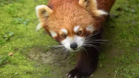 b2f65ee3e02a2cbb85d64bccb25d549f89756491.jpg@280w_158h_1c_100q.jpg