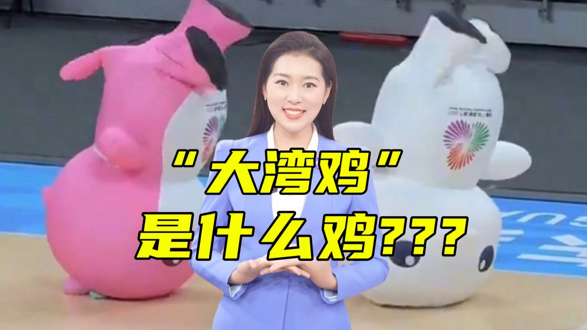 到底要讲几次！我“系”海豚“唔系”鸡啊！【主播说三农】