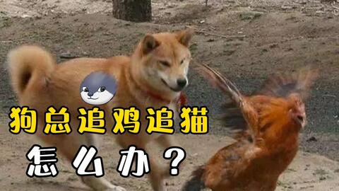 b325853f0b34f58be10875e2720816a7fceedeab.jpg@480w_270h_1c