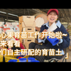 春天到啦，我们也要开始为开心果的种植做准备了。本期视频木木讲述我们正在准备开心果种植的育苗土和育苗袋