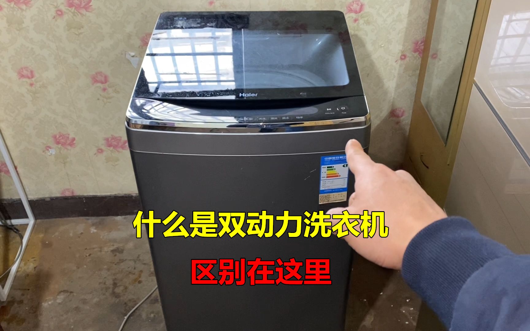 什么是双动力洗衣机？师傅告诉你区别在哪，看完你就明白了