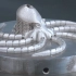 威斯坦(ProtoFab)选择性激光熔化SLM增材制造金属3D打印机打印章鱼模型过程