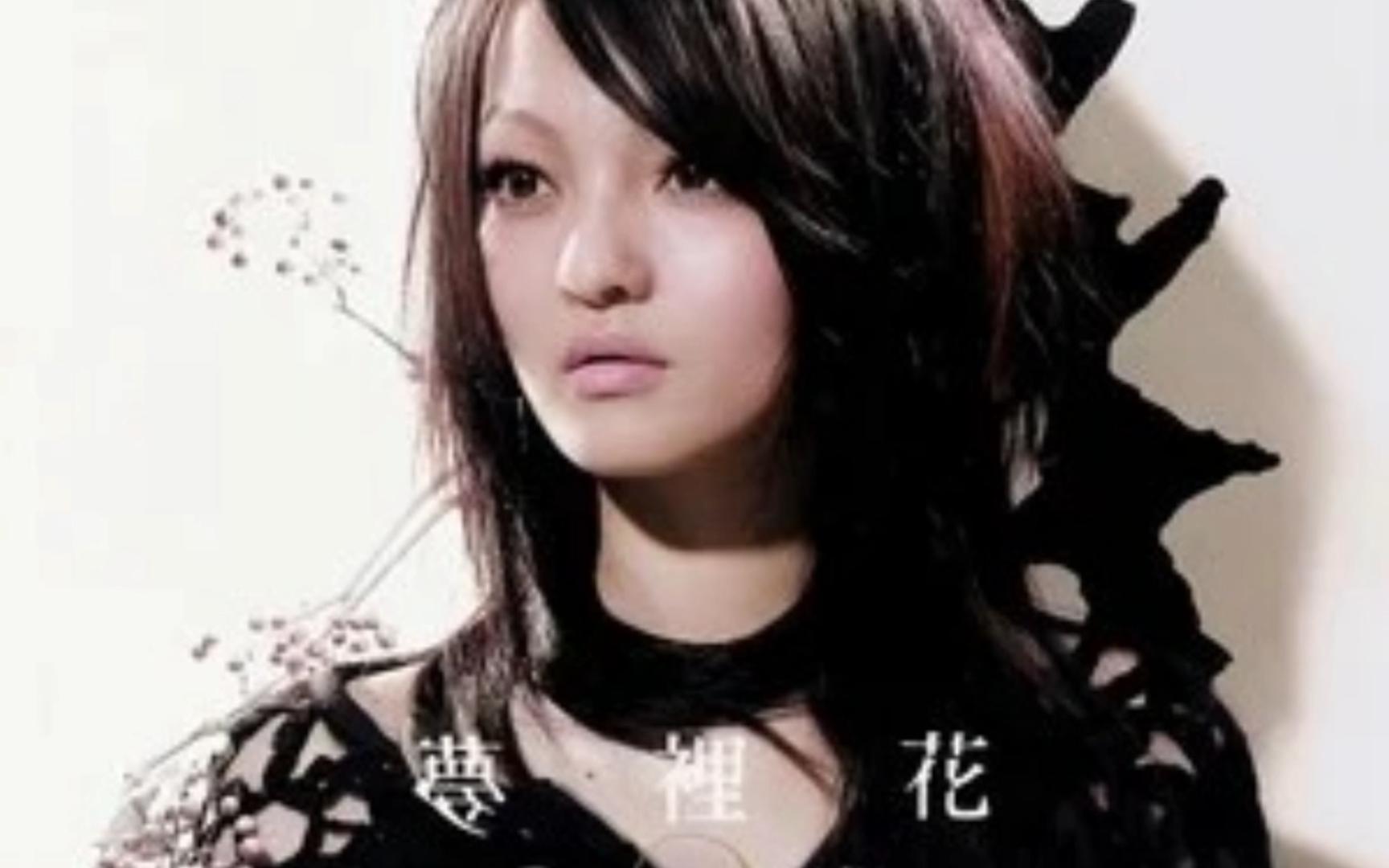 梦里花----张韶涵 和声版伴奏