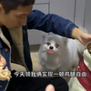 该到我哥俩忘本的时候了