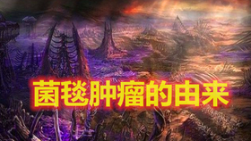b373e96a9a3a9d3e0dcdbd19b0df16d0dc6004d6.png@280w_158h_1c_100q.jpg