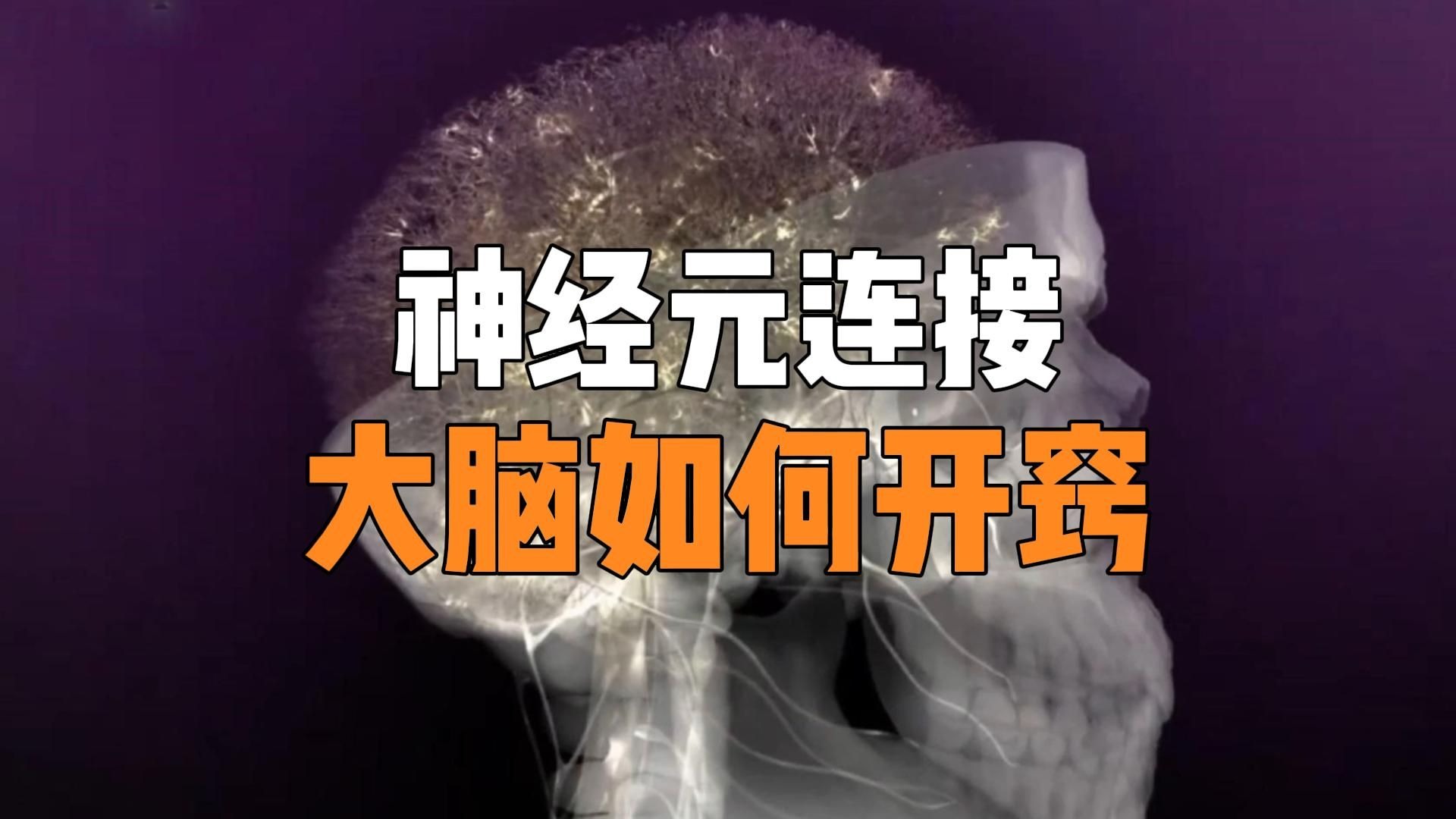 大脑是如何开窍的？你与天才之间的差距，就在神经元的连接之中！