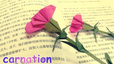 b39fada8d0d1b4dfd073240b271ee4124d581975.jpg@480w_270h_1c