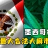 大麻合法化法案，墨西哥众院通过了