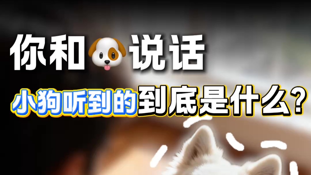 你每天跟狗说的那些话它听到的到底是什么？