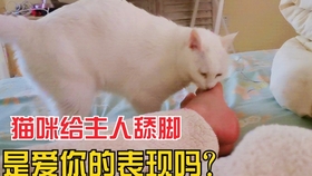 b3c85509bed7c348af4b9162d7f15ec3cf42069e.jpg@280w_158h_1c_100q.jpg