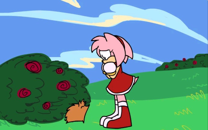 Amy Meets A Hedgehog
