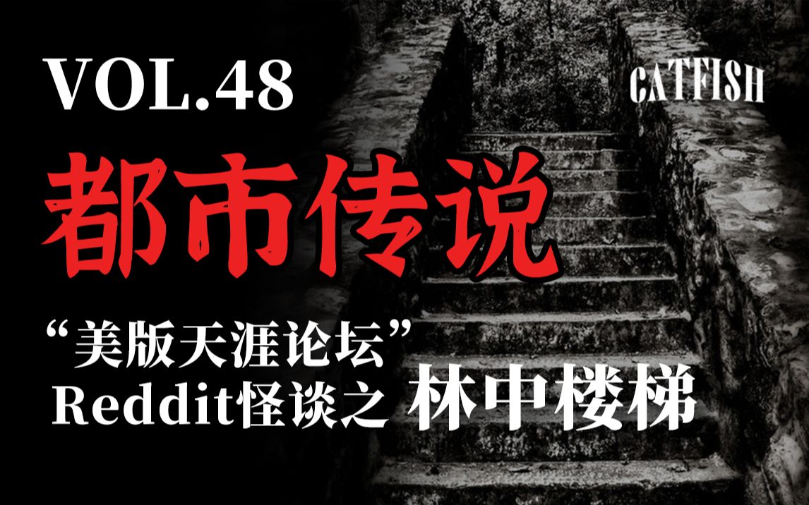 【离奇】“美版天涯论坛”Reddit怪谈之林中楼梯，捡骨和四个婴灵