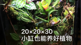 b3fc8199b92981b71cfed7aae85a437c1dee8b56.jpg@280w_158h_1c_100q.jpg