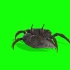 【绿幕素材】B站最全动物类型绿幕素材《 螃蟹 》高清画质，无水印！