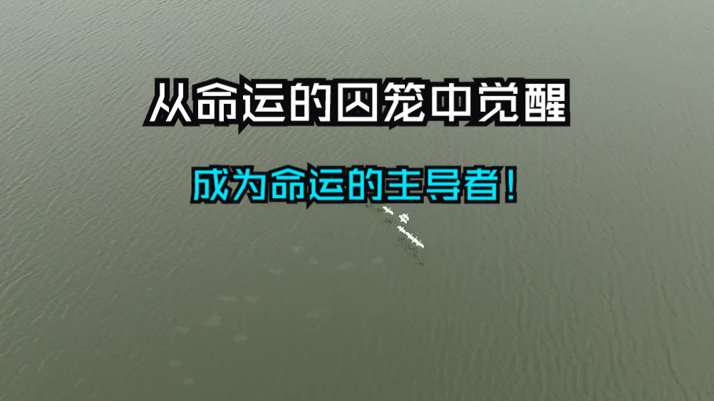 量子场里的灵魂低语正悄悄操控你的人生轨迹，唯有看穿这六大高维机制，你才能从命运的囚笼中觉醒，成为命运的主导者！