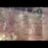 Aimer - 「 April Showers 」/ 5thAlbum 