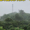雷雨大风黄色预警信号