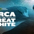 【国家地理】虎鲸vs大白鲨 1080P 中英双语字幕 Orca vs. Great White