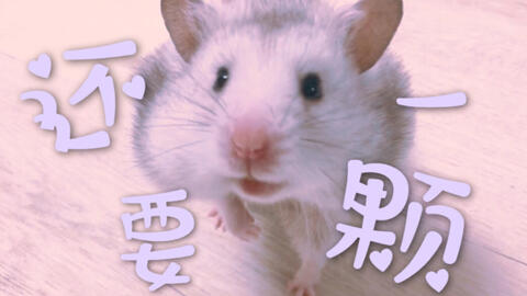 b492d41af3d61b1533c562681d06864d357c8dc5.jpg@480w_270h_1c