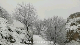 又见雪花飞简谱_又见雪花飞满天的图片(2)