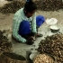 印度腰果加工厂，一群妇女徒手剥