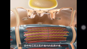 b4aa9a477b7f6abd2baab19205adf2e0b0a1e305.jpg@280w_158h_1c_100q.jpg