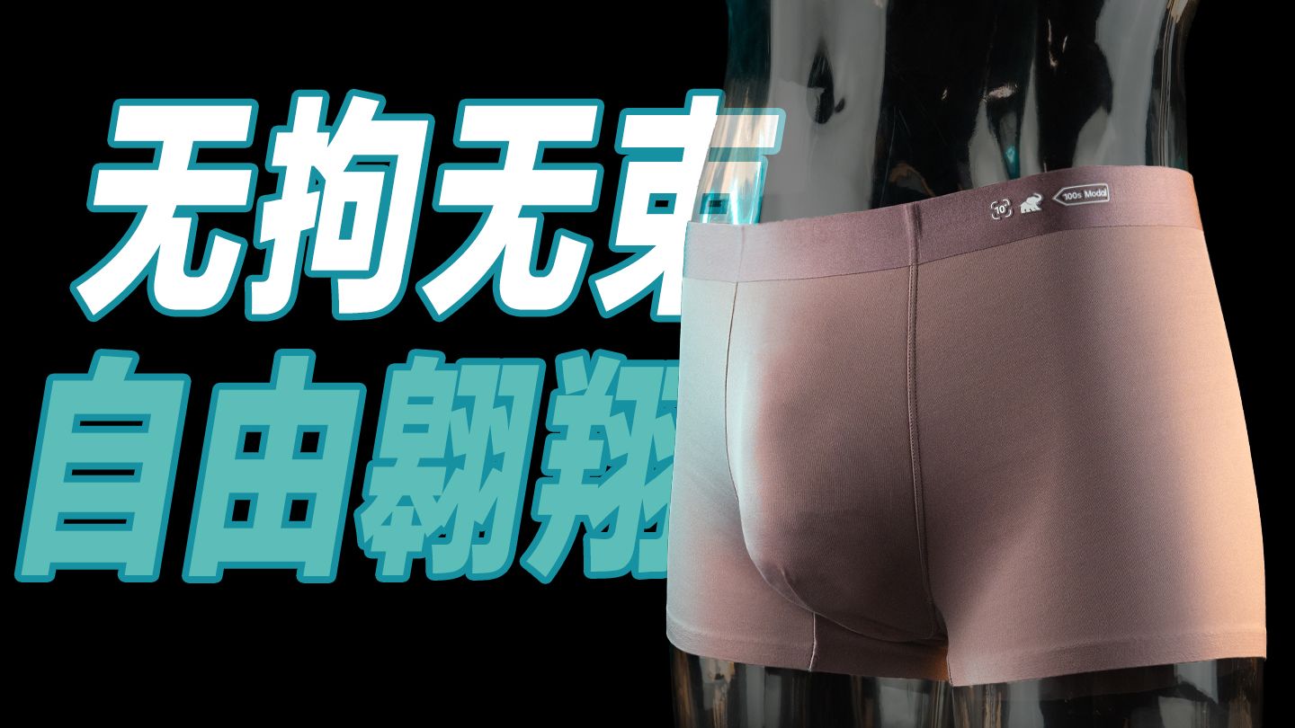 无拘无束，放肆翱翔。元力象双面内裤如何保护你？