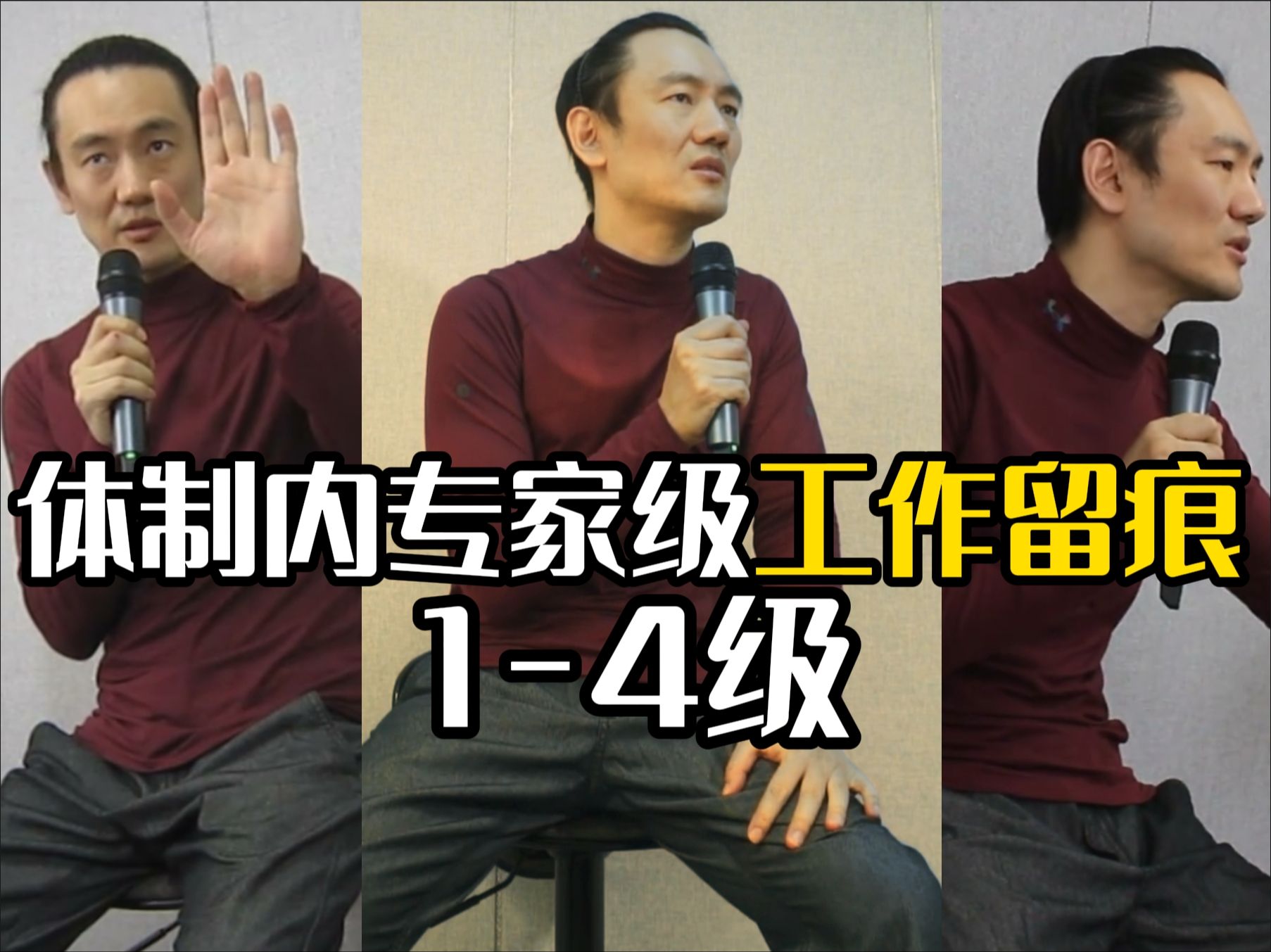 体制内专家级工作留痕1-4级