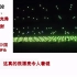中国一千架无人机表演灯光秀庆祝武汉解封老外：太漂亮了