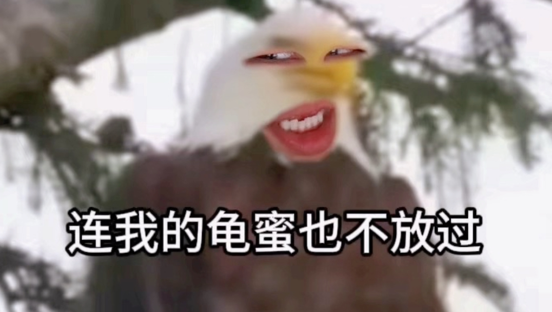 《金牌打野》
