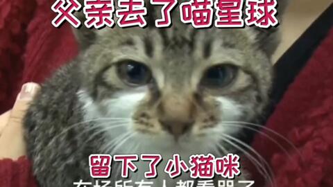b52119d269820d05231e817e75f37c02c0734303.jpg@480w_270h_1c