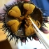 【日本街头美食】超大海胆分解刺身