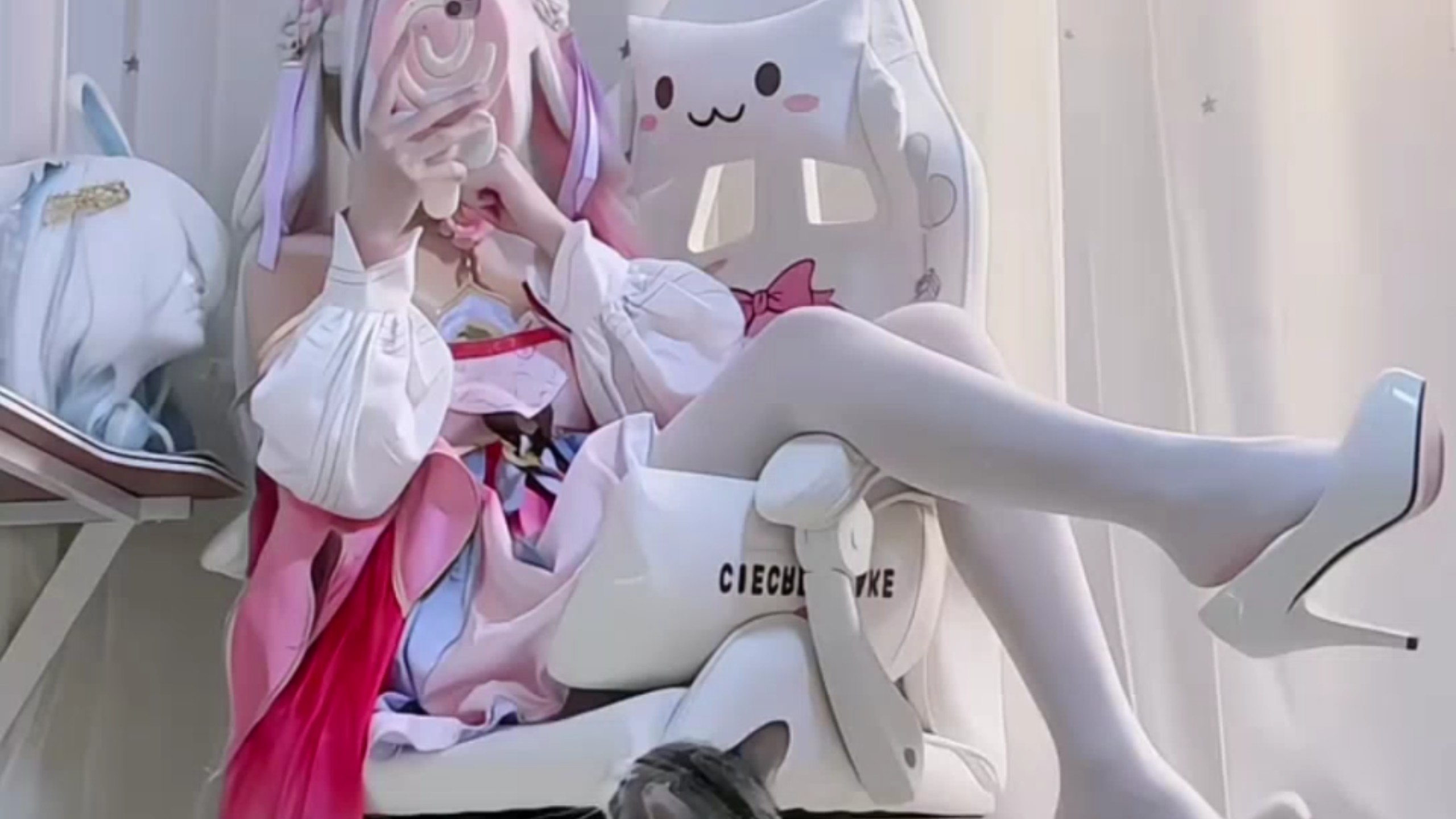 猫猫在看什么呢՞⸝⸝'ᜊ'⸝⸝՞