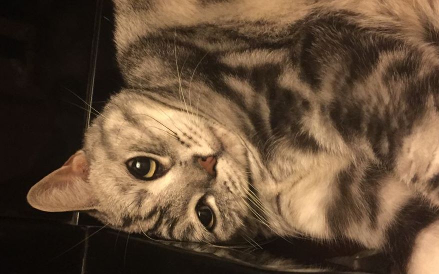 【墨道烟雨】剑网3【也许是这辈子打过最长的