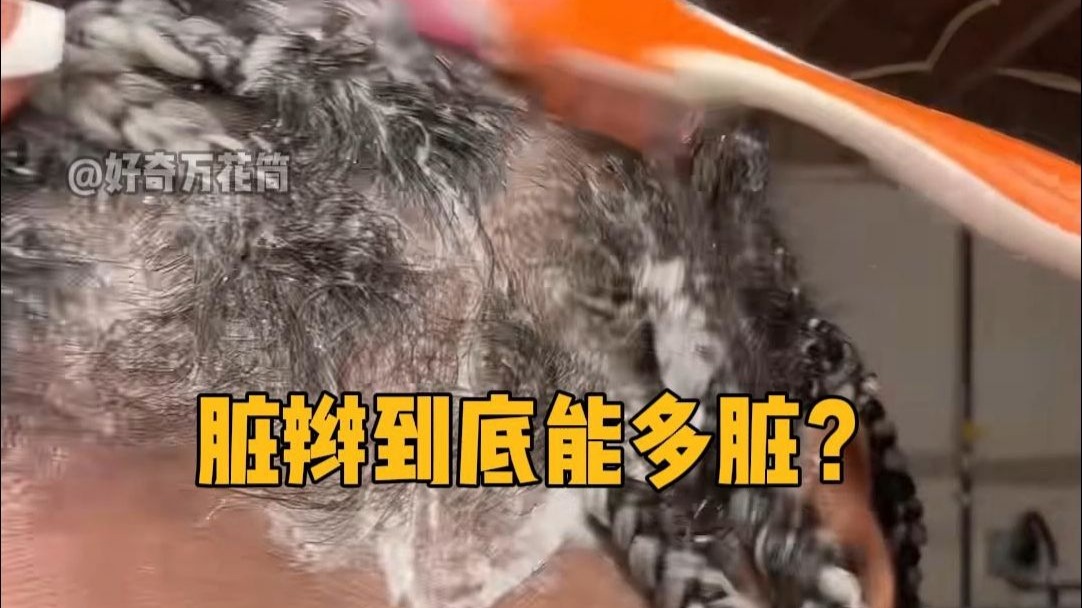 脏辫到底能多脏？ #科普 #解压 #脏辫 #涨知识