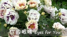 b552dd64d895e507de51f883fcc92410410569ef.jpg@280w_158h_1c_100q.jpg