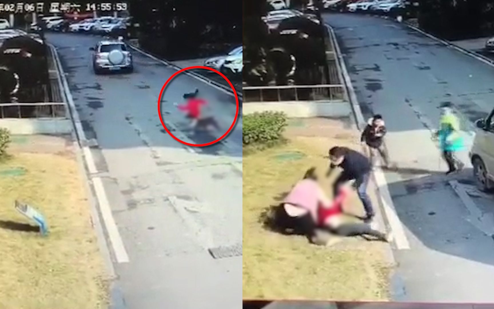 警方介入女孩被恶狗扑倒撕咬 居民要求将狗送走：不是第一次了！