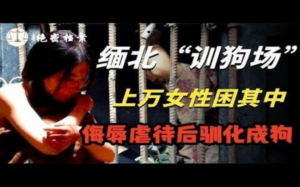 字幕下载