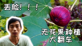 b5bef0e19b9b0b51f2608cde628850c4dfa7082b.jpg@280w_158h_1c_100q.jpg