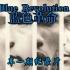 [蓝狮字幕组]车一期纪录片：Blue Revolution - 蓝色革命 (2004-2007)