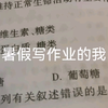 暑假时，写作业的我